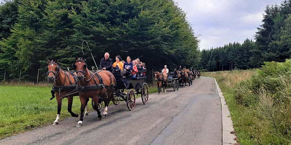 Balades en calèches ou à cheval