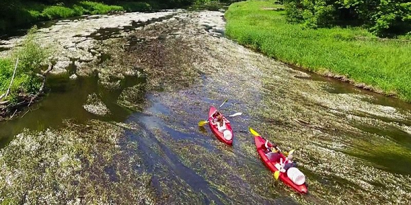 Kayak